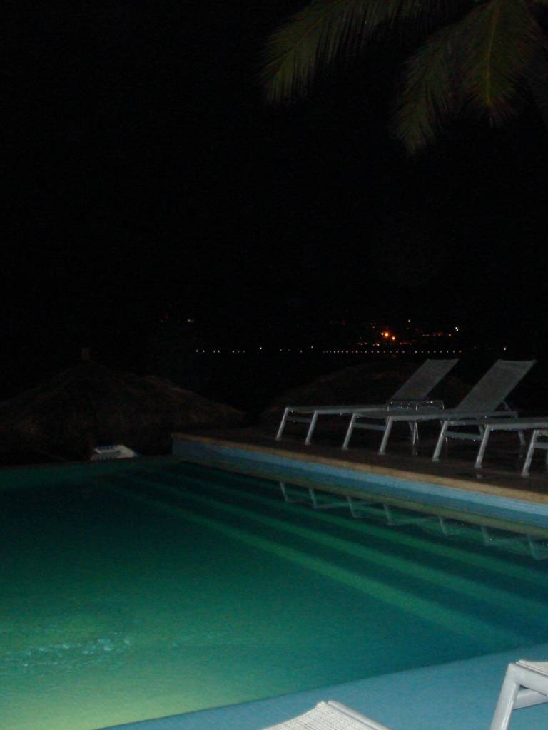 Photo de Ambre